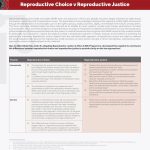 Reproductive Choice v Reproductive Justice