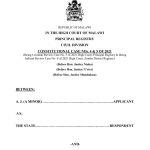 AJ v State Constitutional Case No. 4&5 of 2021