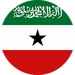 rsz_somaliland_flag