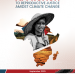 An Africentric Approach to Reproductive Justice in the Context of Climate Change